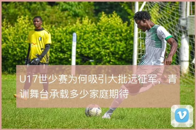 U17世少赛为何吸引大批远征军,青训舞台承载多少家庭期待
